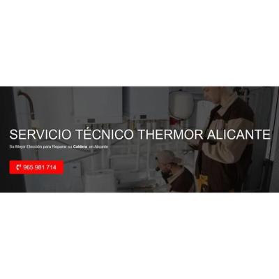 Servicio Técnico Thermor Alicante 965217105