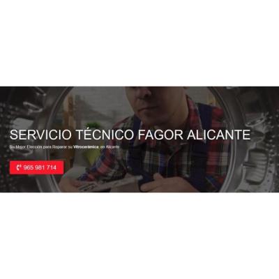 Servicio Técnico Fagor Alicante 965217105