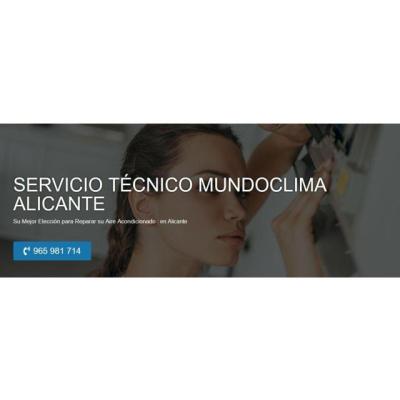 Servicio Técnico Mundoclima Alicante 965217105