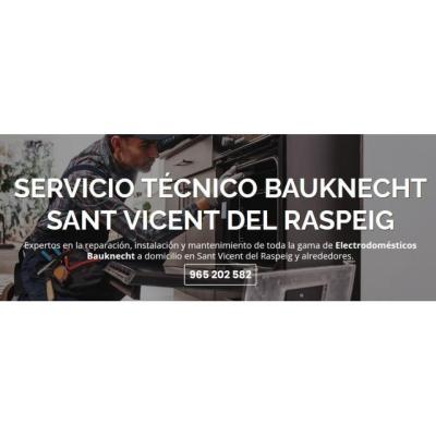 Servicio Técnico Bauknecht Sant Vicent del Raspeig 965217105