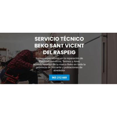 Servicio Técnico Beko Sant Vicent del Raspeig 965217105