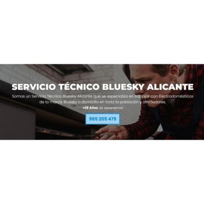 Servicio Técnico Bluesky Alicante 965217105