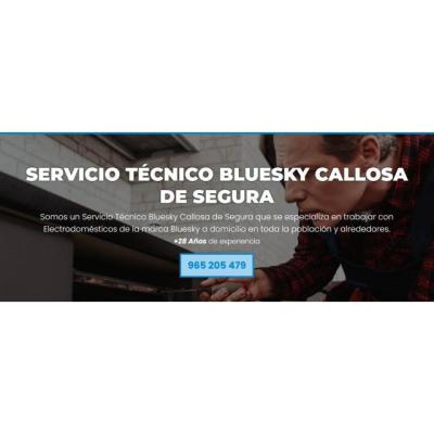 Servicio Técnico Bluesky Callosa de Segura 965217105