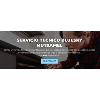 Servicio Técnico Bluesky Mutxamel 965217105