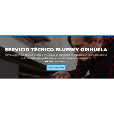 Servicio Técnico Bluesky Orihuela 965217105