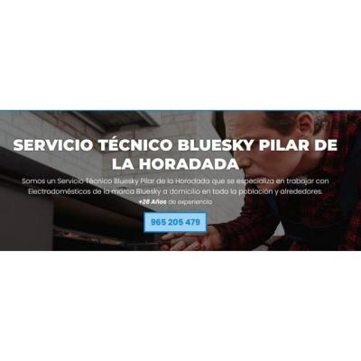 Servicio Técnico Bluesky Pilar de la Horadada 965217105