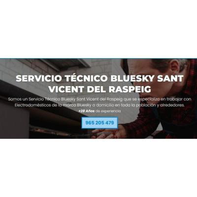 Servicio Técnico Bluesky Sant Vicent del Raspeig 965217105
