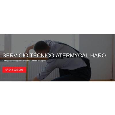 Servicio Técnico Atermycal Haro 941229863