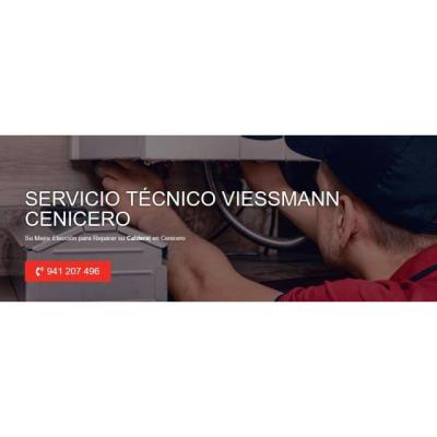 Servicio Técnico Viessmann Cenicero 941229863