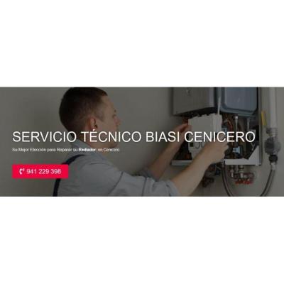 Servicio Técnico Biasi Cenicero 941229863