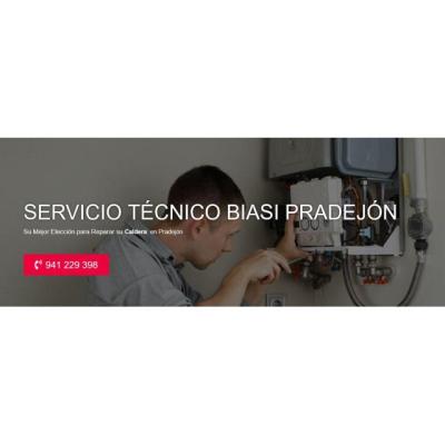 Servicio Técnico Biasi Pradejón 941229863