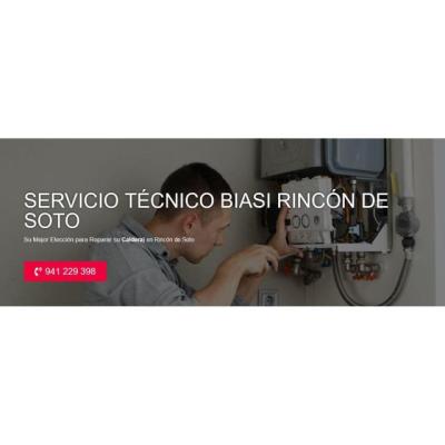 Servicio Técnico Biasi Rincón de Soto 941229863