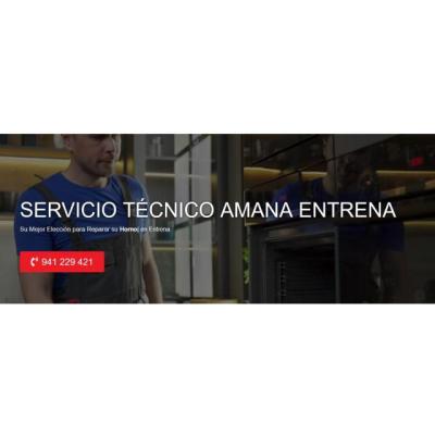 Servicio Técnico Amana Entrena 941229863
