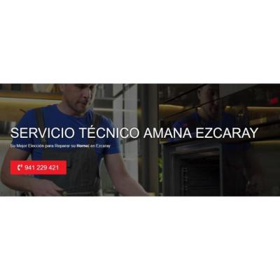 Servicio Técnico Amana Ezcaray 941229863