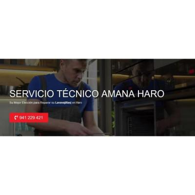 Servicio Técnico Amana Haro 941229863