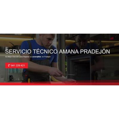 Servicio Técnico Amana Pradejón 941229863