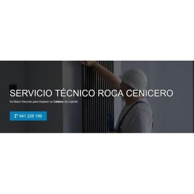 Servicio Técnico Roca Cenicero 941229863