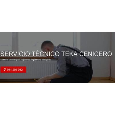 Servicio Técnico Teka Cenicero 941229863