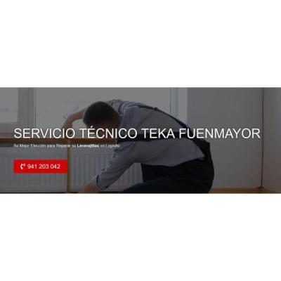 Servicio Técnico Teka Fuenmayor 941229863