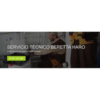 Servicio Técnico Beretta Haro 941229863