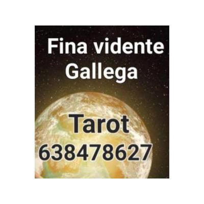 VIDENTE  GALLEGA  AYUDA ABRE CAMINOSS