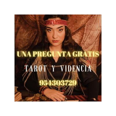REGALO DE LECTURA DE VIDENCIA