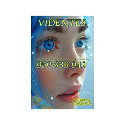 VIDENTES PARTICULARES SIN GABINETES