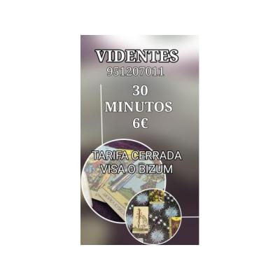 Tarot profesional videntes económico 951207011