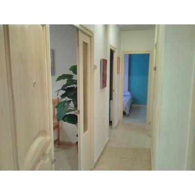 ALQUILAMOS PISOS PARA EMPRESAS, (ALCAÑIZ)