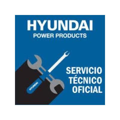 Hyundai Castellon Servicio Tecnico Oficial