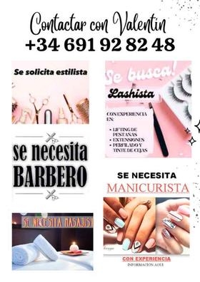 Se busca
