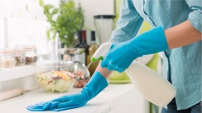 Servicio domestico
