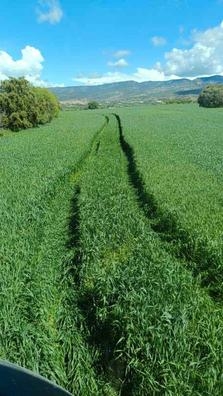 Tractorista