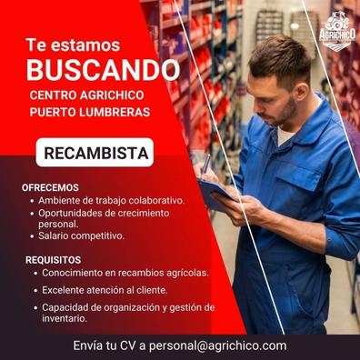 RECAMBISTA