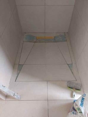 PROFESIONAL EN LA CONSTRUCCIÓN