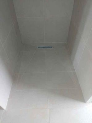 PROFESIONAL EN LA CONSTRUCCIÓN