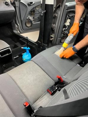 Profecional Detailer