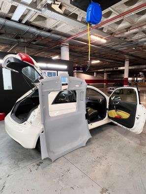 Profecional Detailer