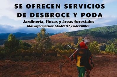Desbroce y poda