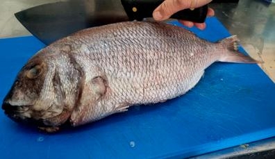 Ayudante de cocina