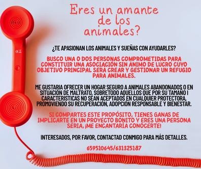 Busco socios