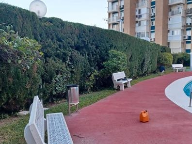 JARDINERIA Y PISCINA