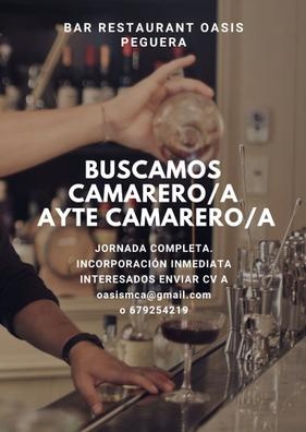 Camarero o ayudante de camarero