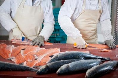 Pescadero manipulador de pescado