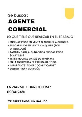 agente comercial