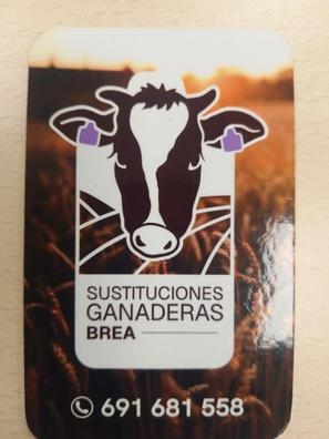 Peón ganadero