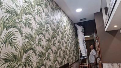 pintor profesional ?  ?