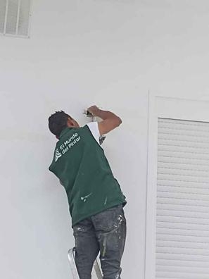 pintor profesional ?  ?