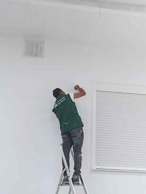 pintor profesional ?  ?