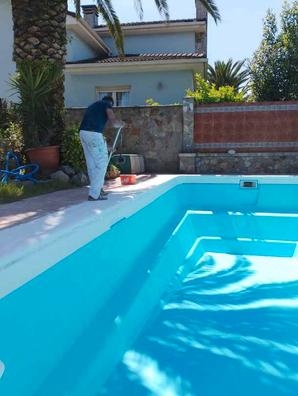 pintor profesional ?  ?